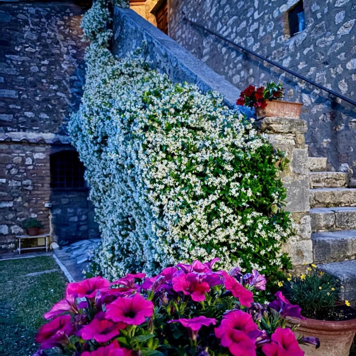 Residenza Santa Maria In Borraccia Bed & Breakfast Маляно ин Тоскана Екстериор снимка