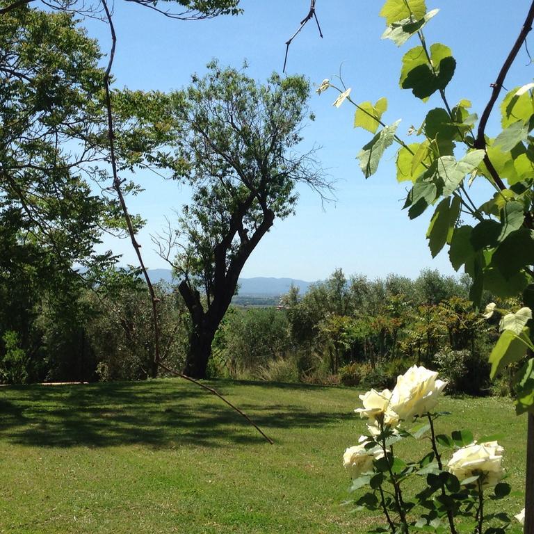 Residenza Santa Maria In Borraccia Bed & Breakfast Маляно ин Тоскана Екстериор снимка