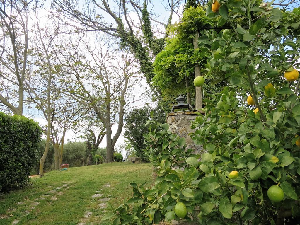 Residenza Santa Maria In Borraccia Bed & Breakfast Маляно ин Тоскана Екстериор снимка